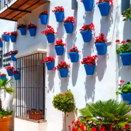 - Alicate Beachfront Apartment- 8 Appartamento *